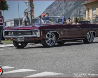 TSR Watermark - 0648